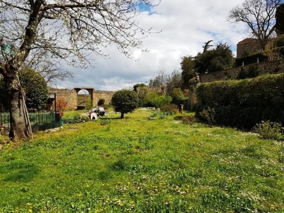 Volaterrae Deluxe Loft With Garden Appartement Volterra Buitenkant foto